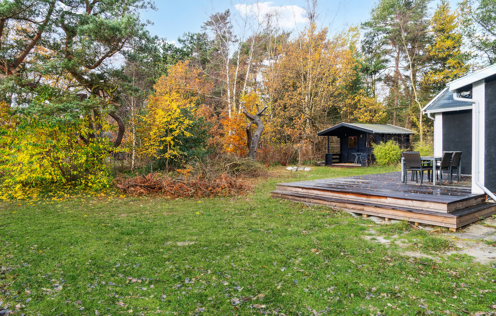 Feriehuse - Marielyst , Danmark - K16619 9