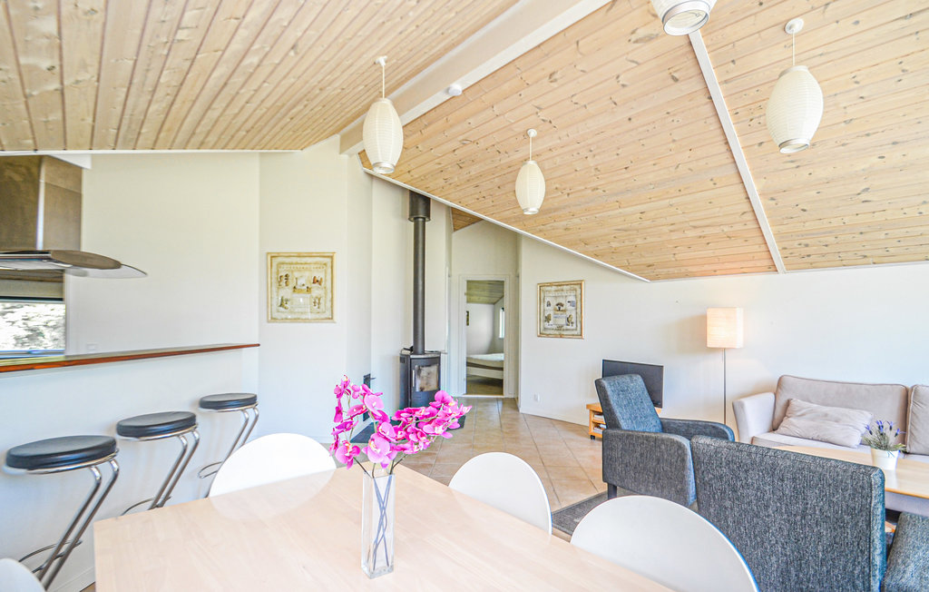 Feriehuse - Gedesby , Danmark - K20420 3