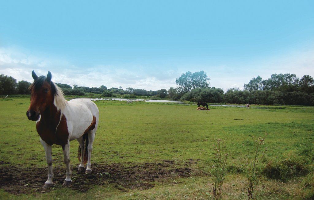 Ferienhaus - Råbylille , Dänemark - K30918 27