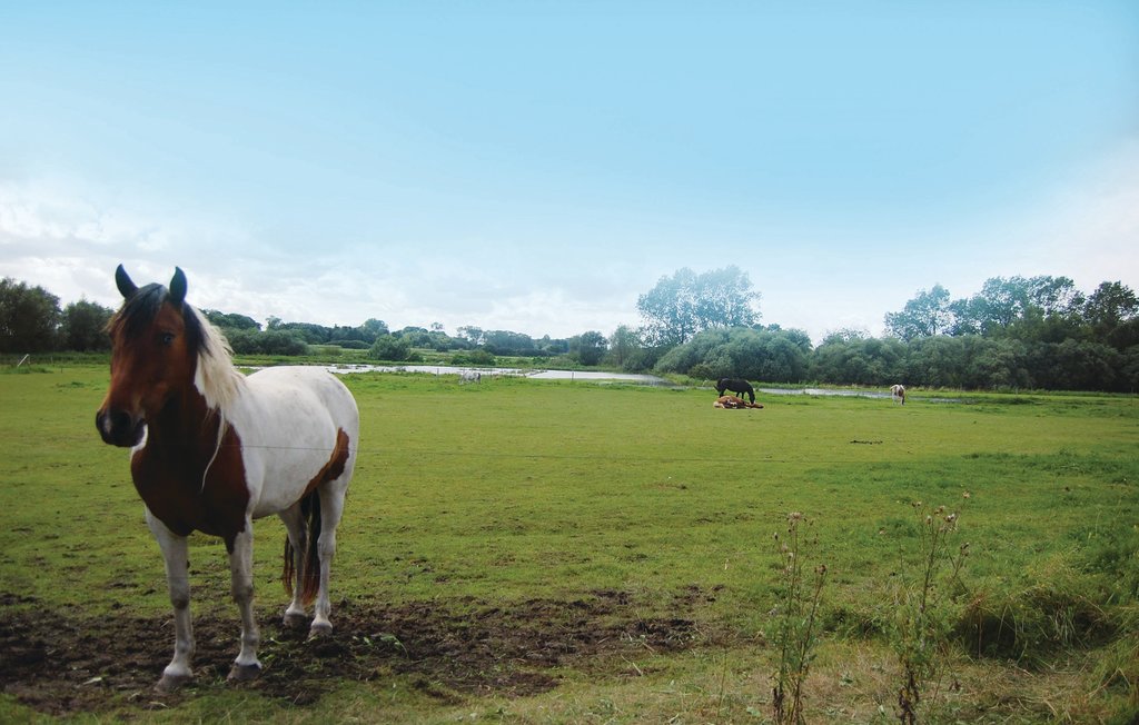 Feriehus - Råbylille , Danmark - K30925 17