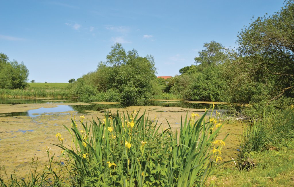 Ferienhaus - Råbylille , Dänemark - K30956 10