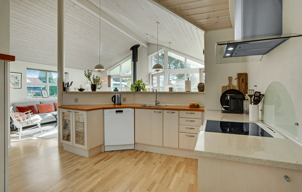 Domy wakacyjne - Råbylille Strand , Dania - K30950 19