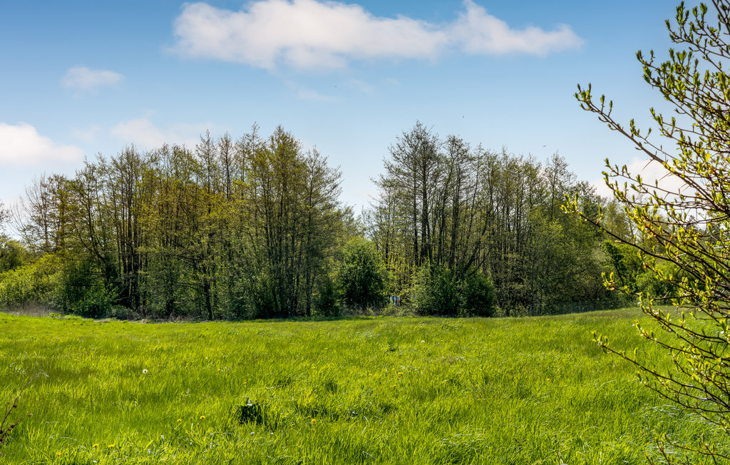 Ferienhaus - Bogø/Møn , Dänemark - K30288 15