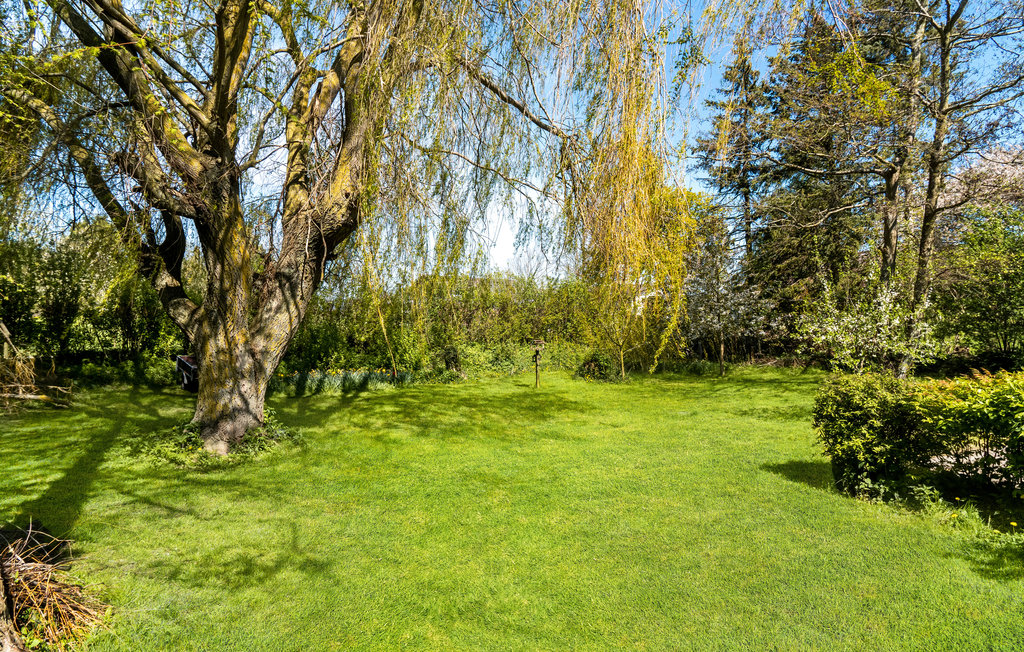 Ferienhaus - Bogø/Møn , Dänemark - K30288 14