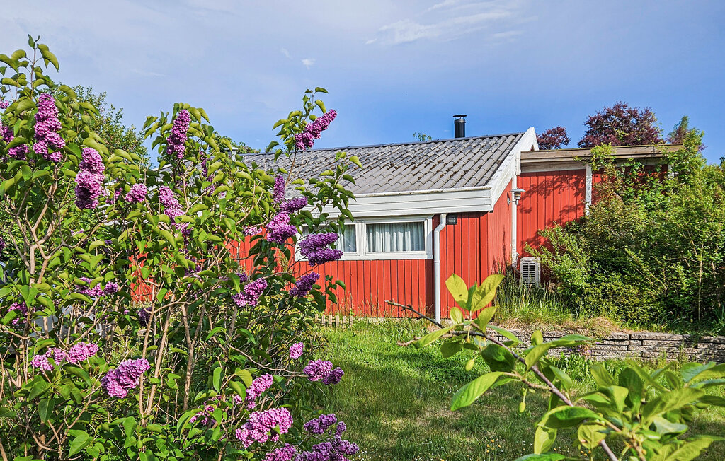Ferienhaus - Bogø/Møn , Dänemark - K30331 2