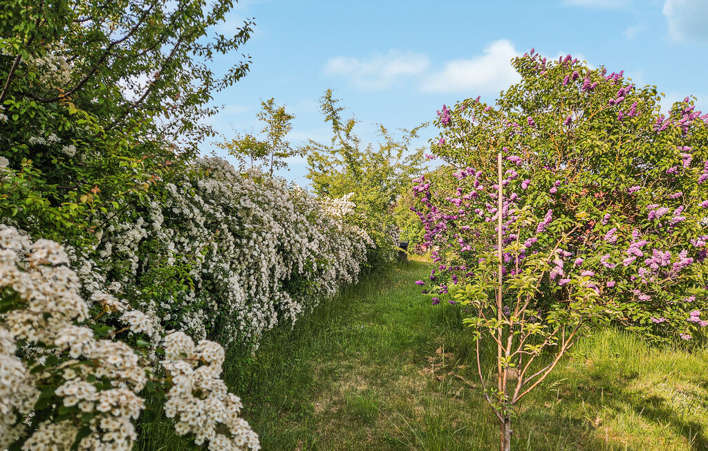 Ferienhaus - Bogø/Møn , Dänemark - K30331 10