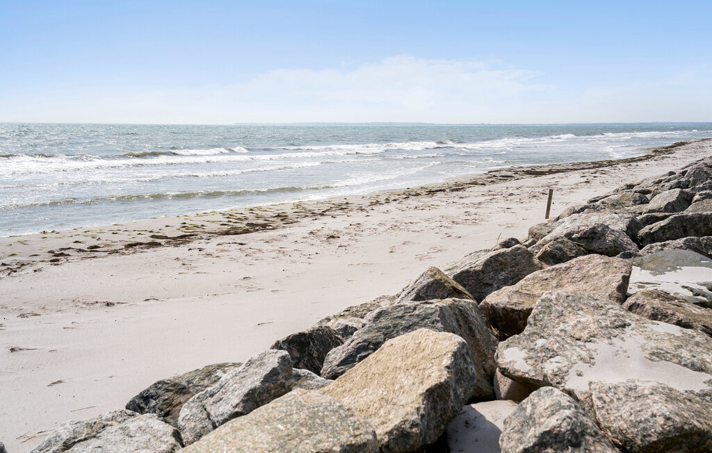 Domy wakacyjne - Faxe Ladeplads , Dania - K50022 17