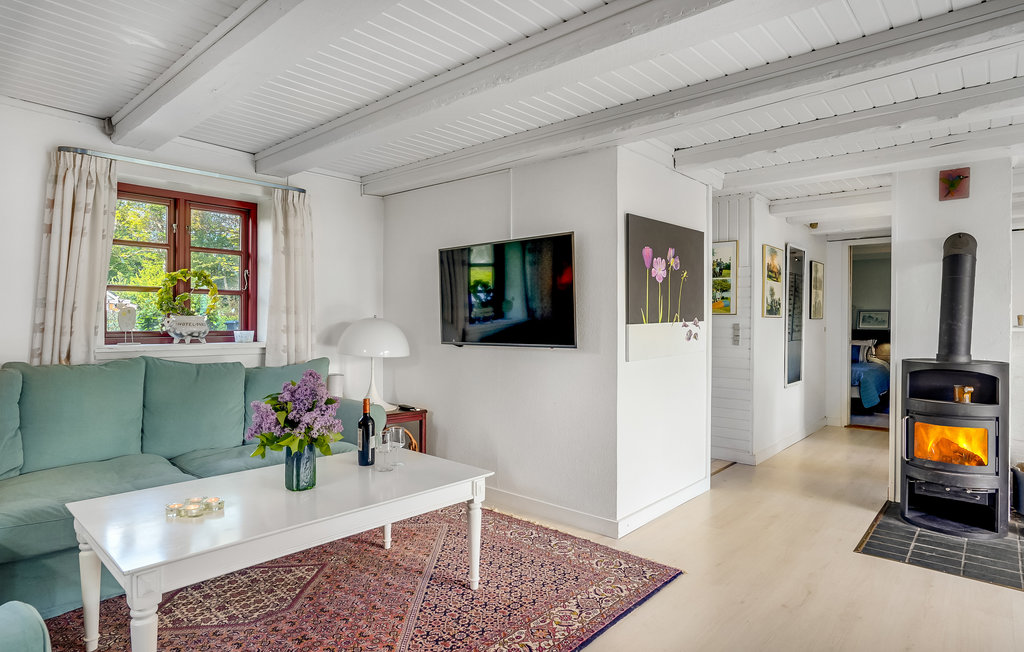 Feriehuse - Bønsvig , Danmark - K51738 7