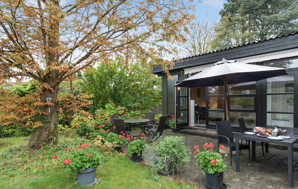 Semesterhus - Rødvig Stevns , Danmark - K51033 9