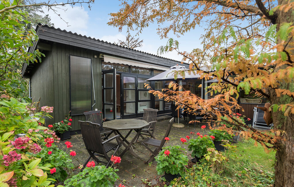 Semesterhus - Rødvig Stevns , Danmark - K51033 14