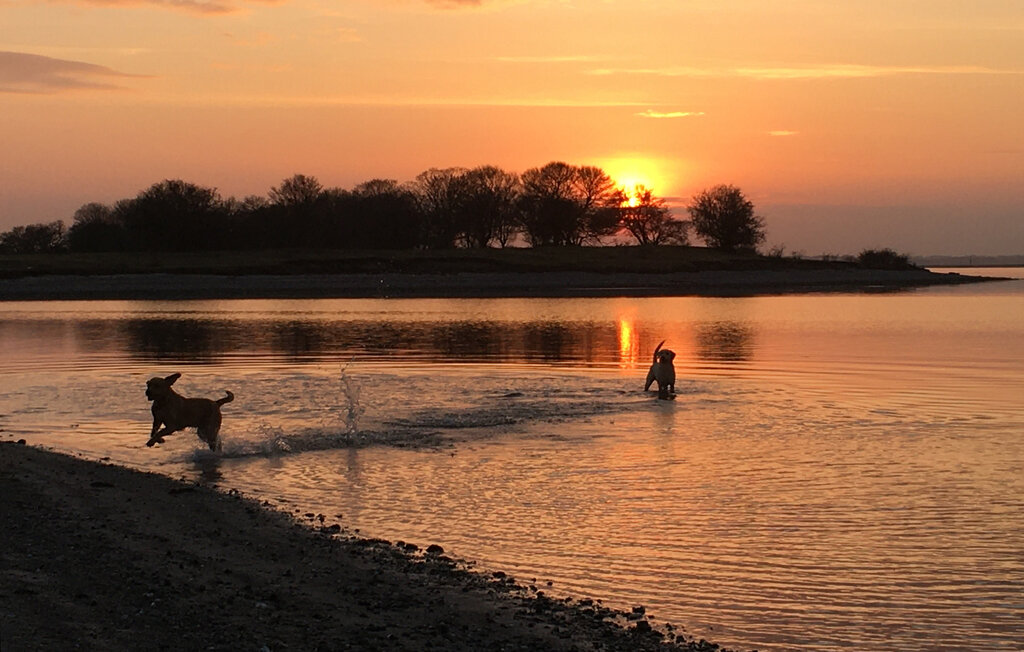 Location de vacances - Roneklint Strand , Danemark - K51006 29