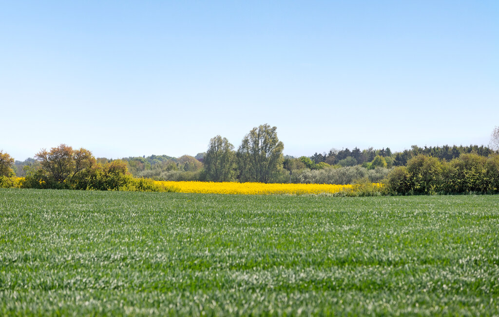 Feriehuse - Haslev , Danmark - K51702 25