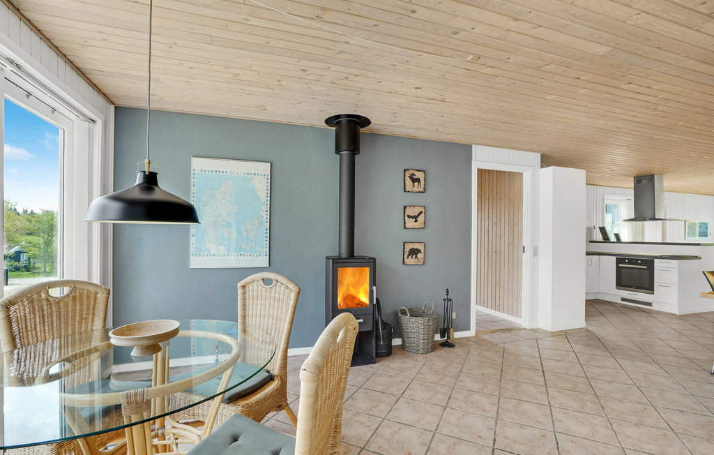 Ferienhaus - Illeris , Dänemark - L50316 7