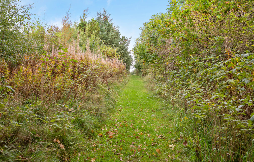 Ferienhaus - Trend , Dänemark - L50009 19