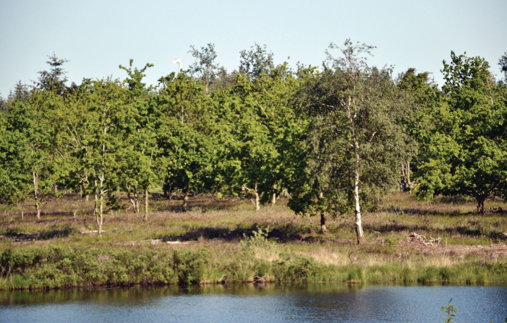 Feriehuse - Ertebølle , Danmark - L50391 18