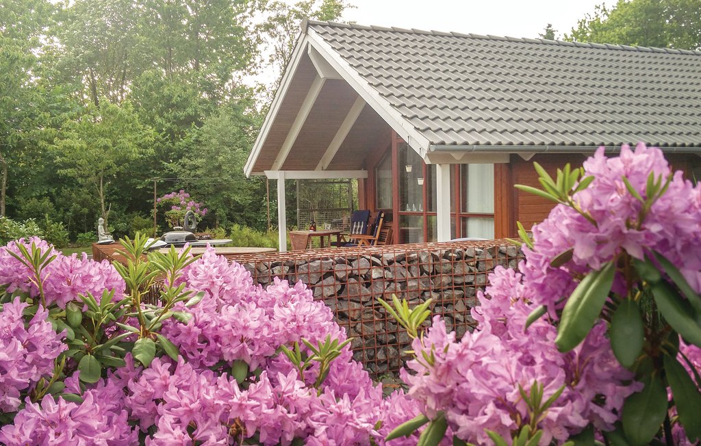 Feriehuse - Ertebølle , Danmark - L50531 6