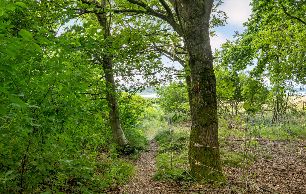 Feriehuse - Sebbersund , Danmark - L50034 16