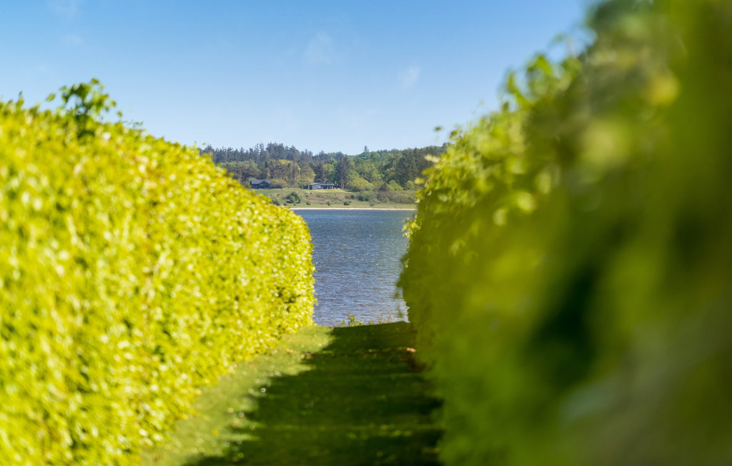 Ferienhaus - Hjarbæk Strand , Dänemark - L50038 2
