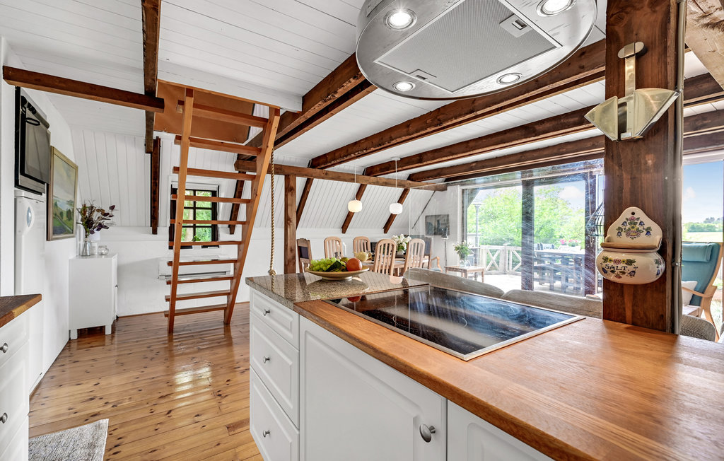 Ferienhaus - Hjarbæk , Dänemark - L50015 14