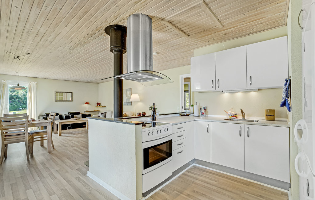 Ferienhaus - Lovns Strand , Dänemark - L50020 9
