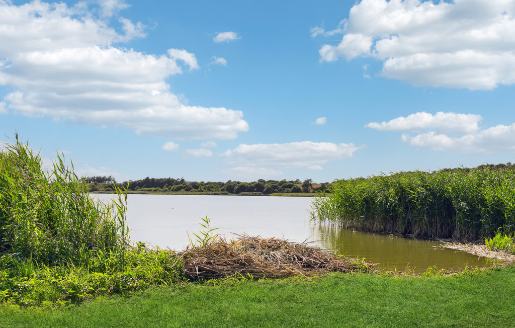 Ferienhaus - Virksund Strand , Dänemark - L50108 2