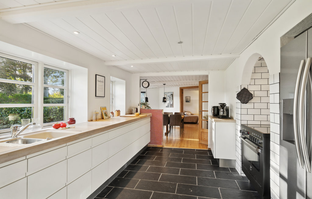 Ferienhaus - Hjarbæk , Dänemark - L50098 6