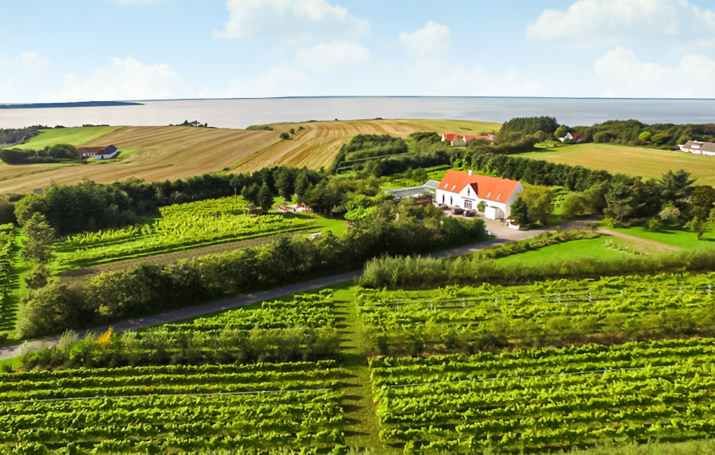 Feriehus - Næsbydale , Danmark - L50221 11