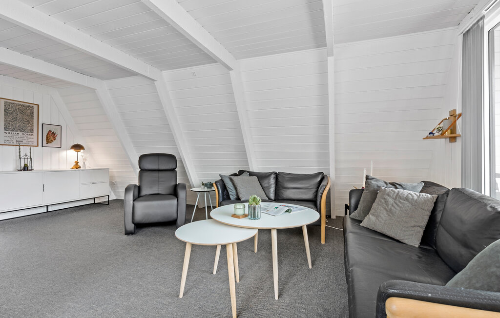 Domy wakacyjne - Vesthimmerland , Dania - L50584 9