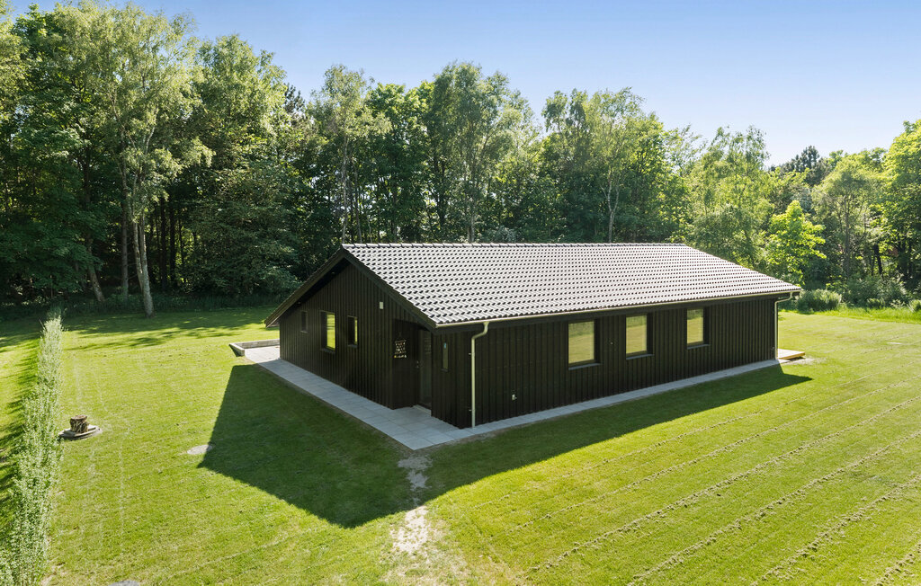 Ferienhaus - Hvalpsund , Dänemark - L50103 9