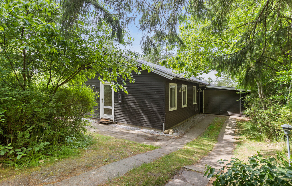 Feriehuse - Hjarbæk Strand , Danmark - L50037 11