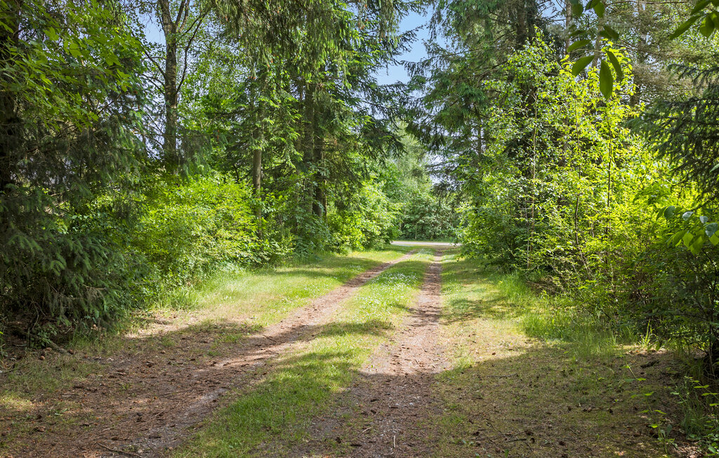 Feriehuse - Hjarbæk Strand , Danmark - L50037 14