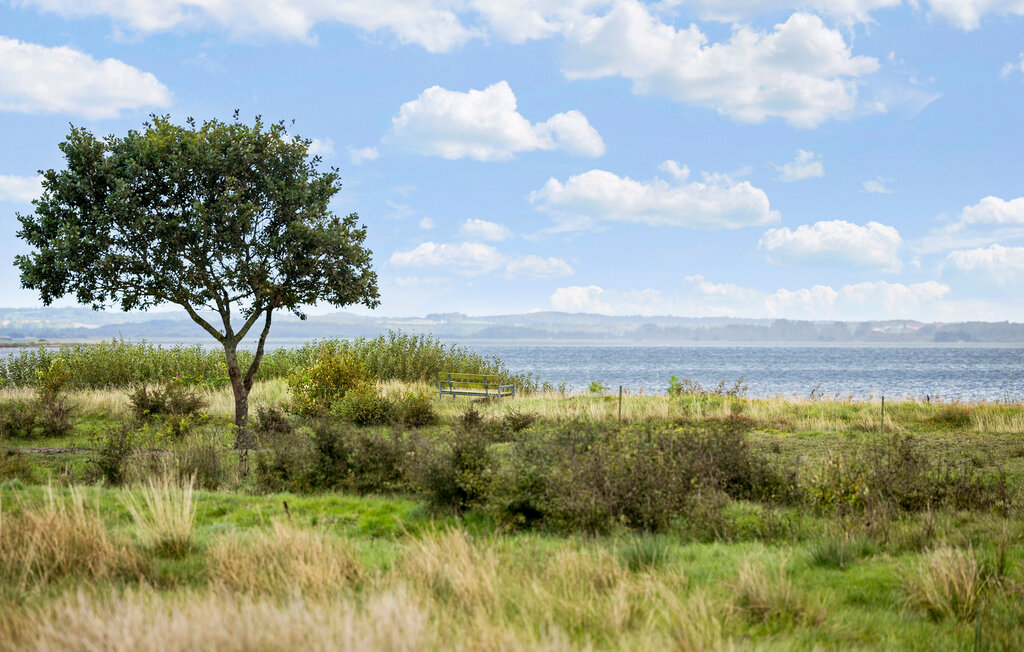 Feriehuse - Lovns , Danmark - L50056 16