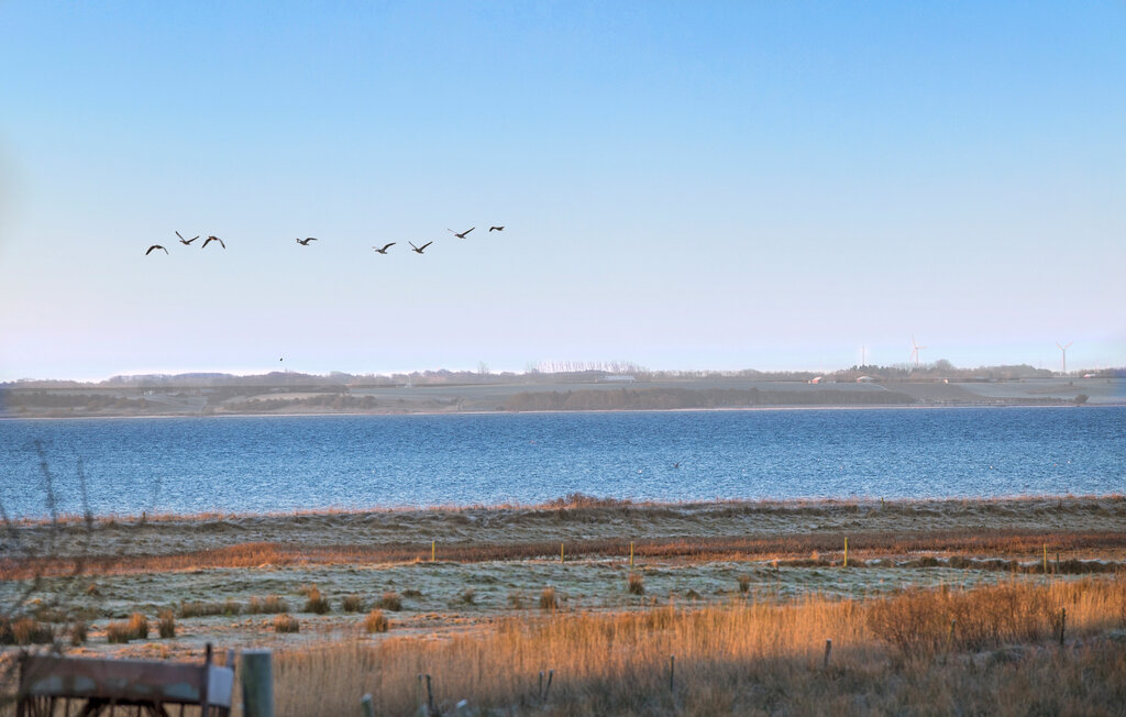 Location de vacances - Risgårde , Danemark - L50524 9