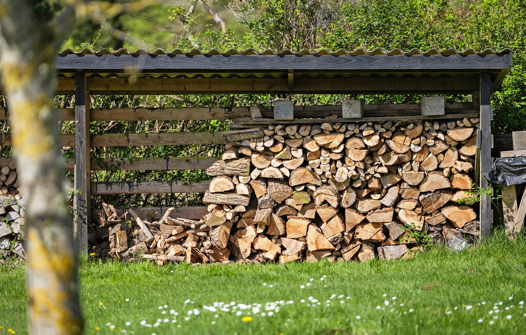 Feriehuse - Hvalpsund Strand , Danmark - L50026 15