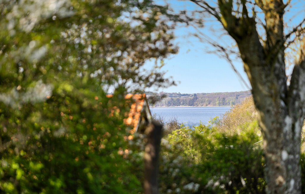 Feriehuse - Hvalpsund Strand , Danmark - L50026 18
