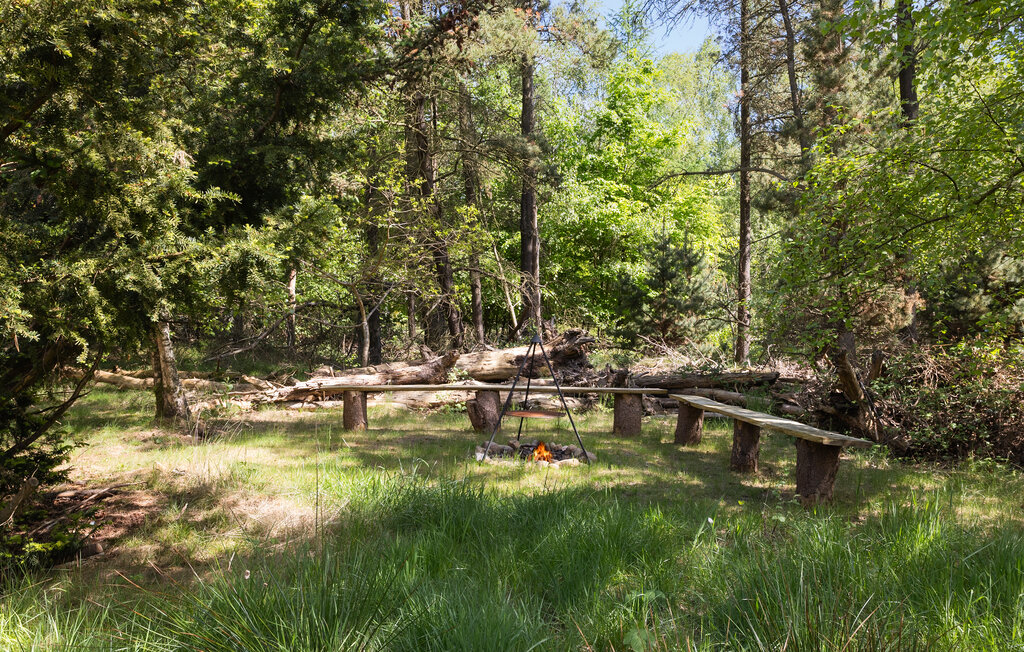 Feriehuse - Virksund , Danmark - L50131 14