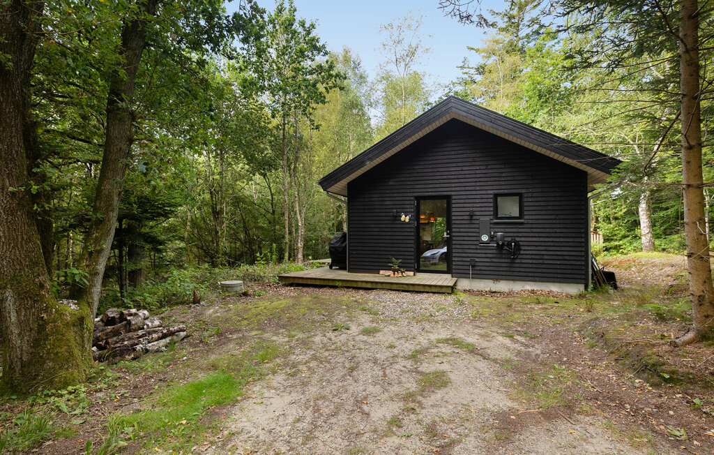 Feriehuse - Vesthimmerland , Danmark - L50530 10