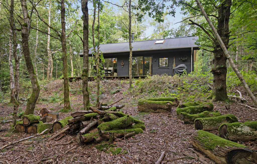 Feriehuse - Vesthimmerland , Danmark - L50530 11