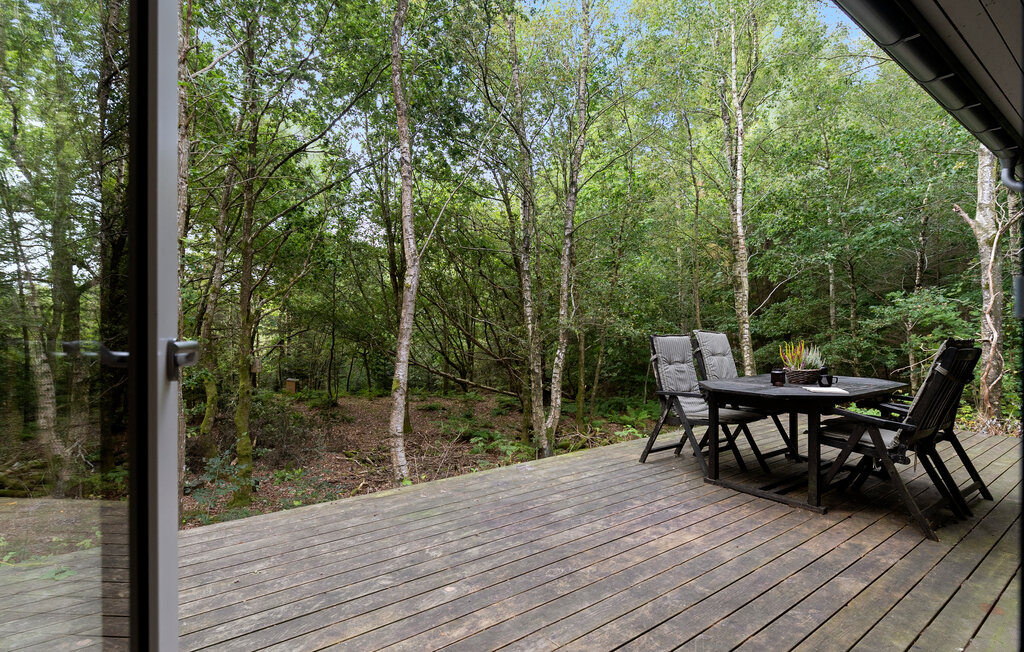 Feriehuse - Vesthimmerland , Danmark - L50530 2