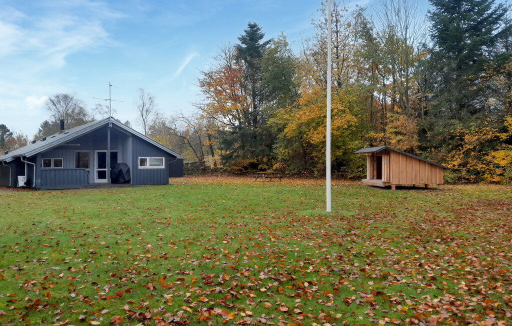 Ferienhaus - Hjarbæk Strand , Dänemark - L50038 17