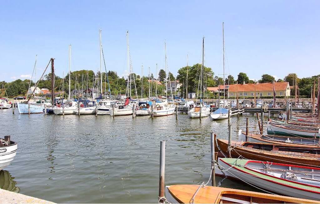 Feriehuse - Hjarbæk Strand , Danmark - L50507 8