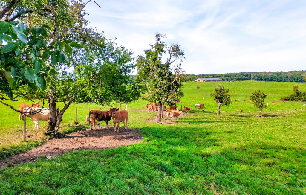 Lejlighed - Winseler , Luxembourg - LUX144 9