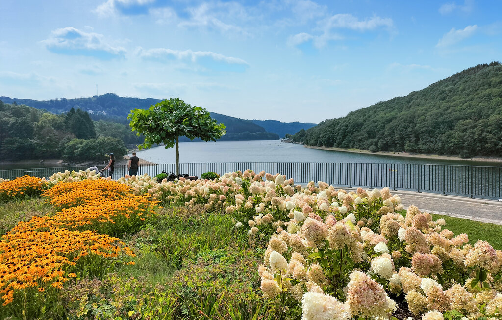 Feriehuse - Winseler , Luxembourg - LUX145 32