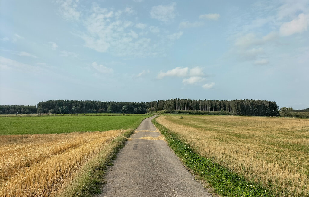 Feriehuse - Winseler , Luxembourg - LUX145 16