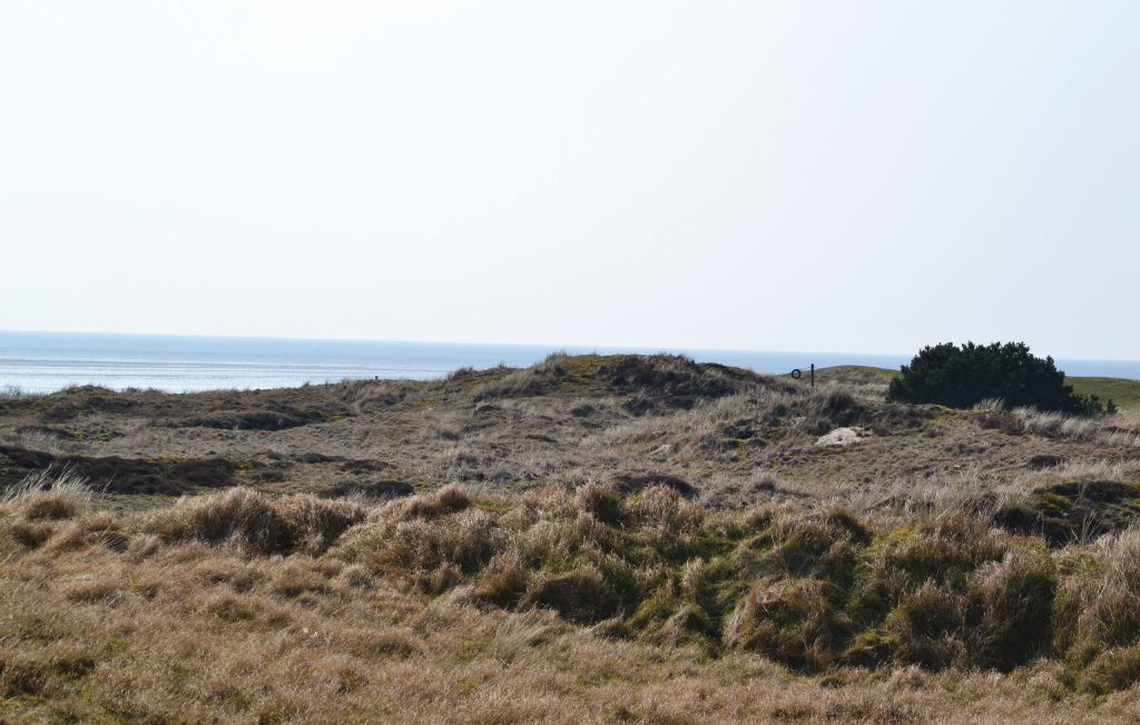 Ferienhaus - Sønderho , Dänemark - M21191 8