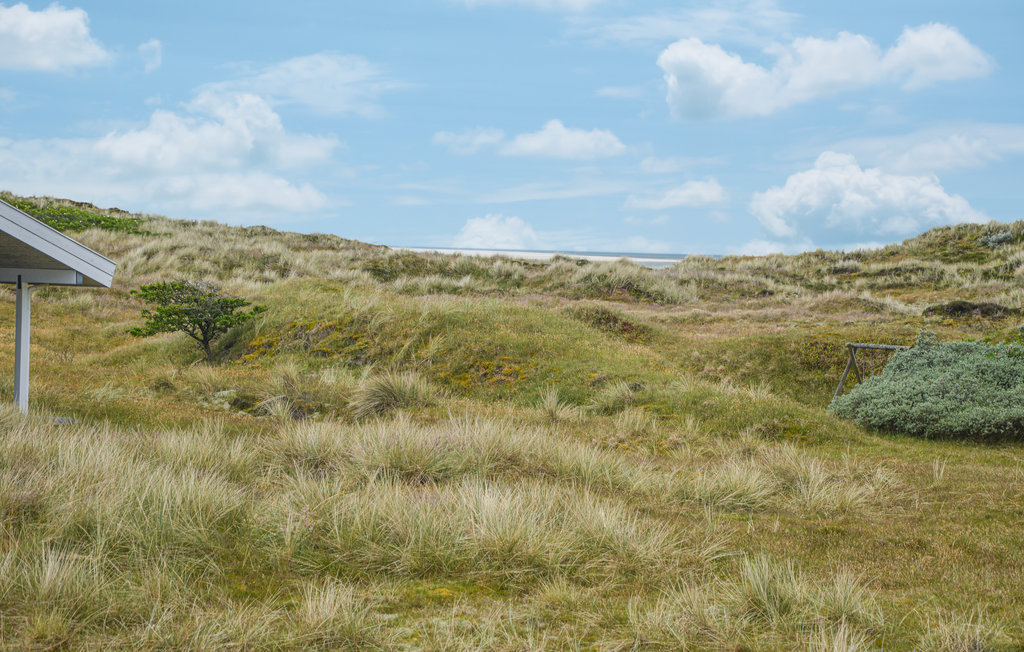 Feriehuse - Sønderho , Danmark - M21321 8