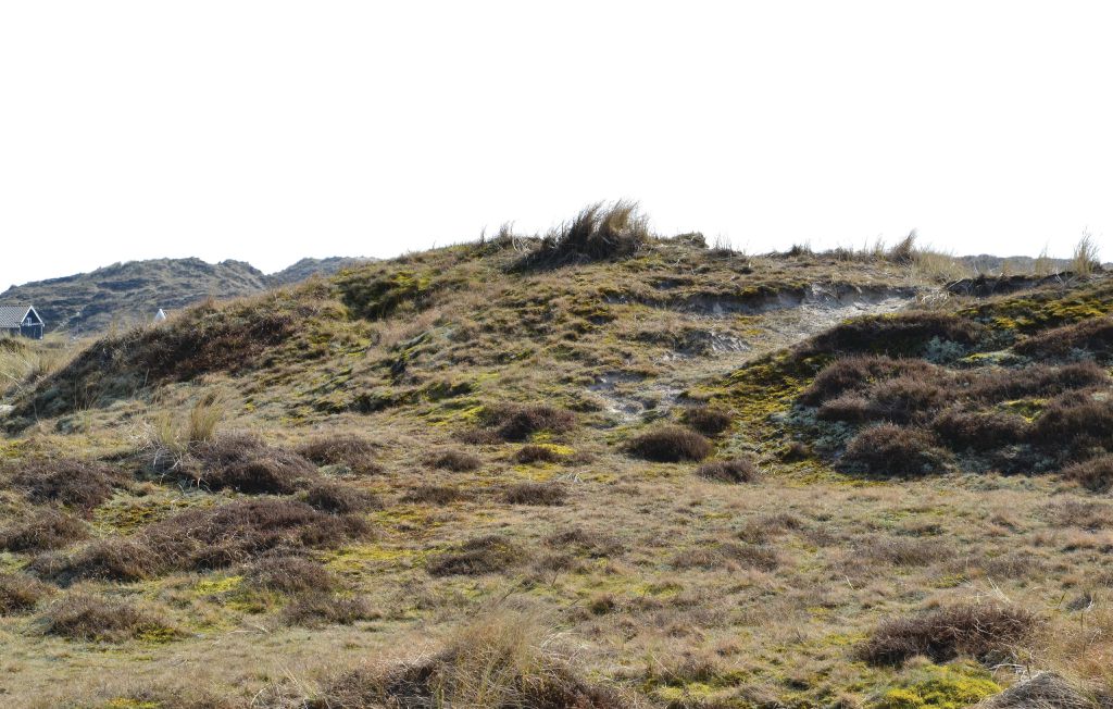 Ferienhaus - Sønderho , Dänemark - M21191 9