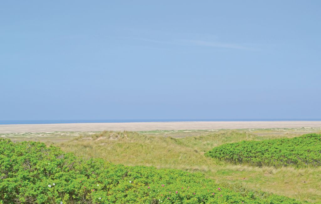 Ferienhaus - Fanø Bad , Dänemark - M21149 8