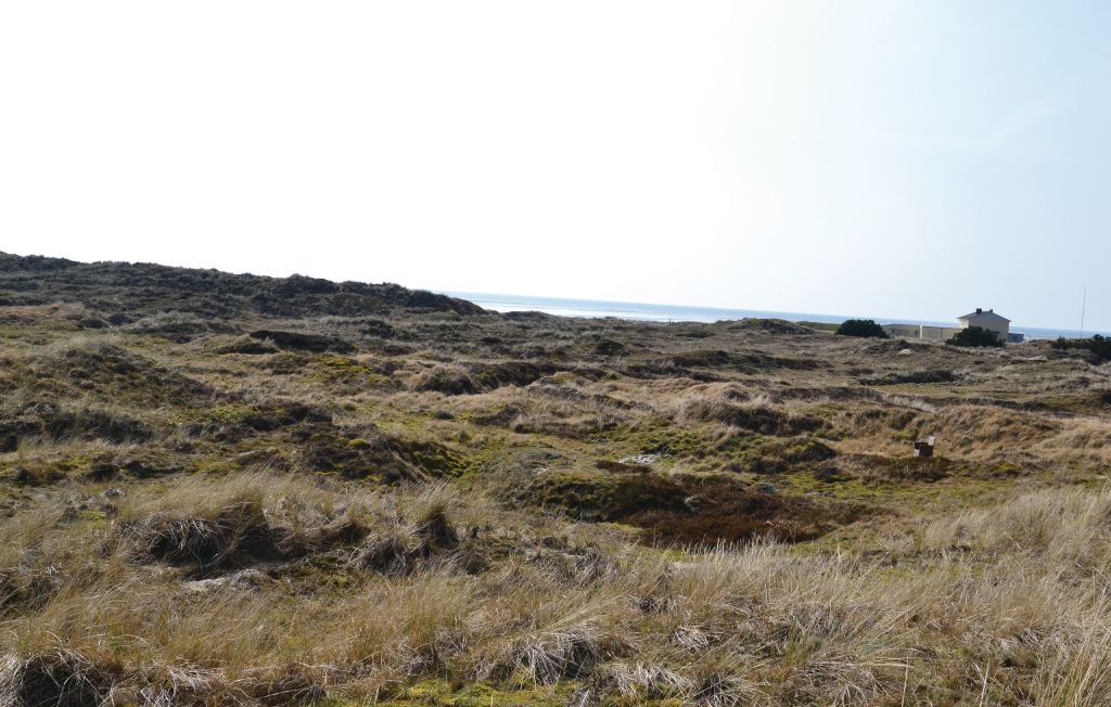 Ferienhaus - Sønderho , Dänemark - M21191 10