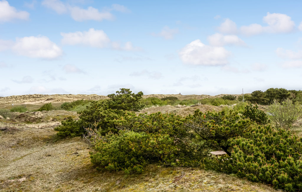 Feriehus - Sønderho , Danmark - M21273 14